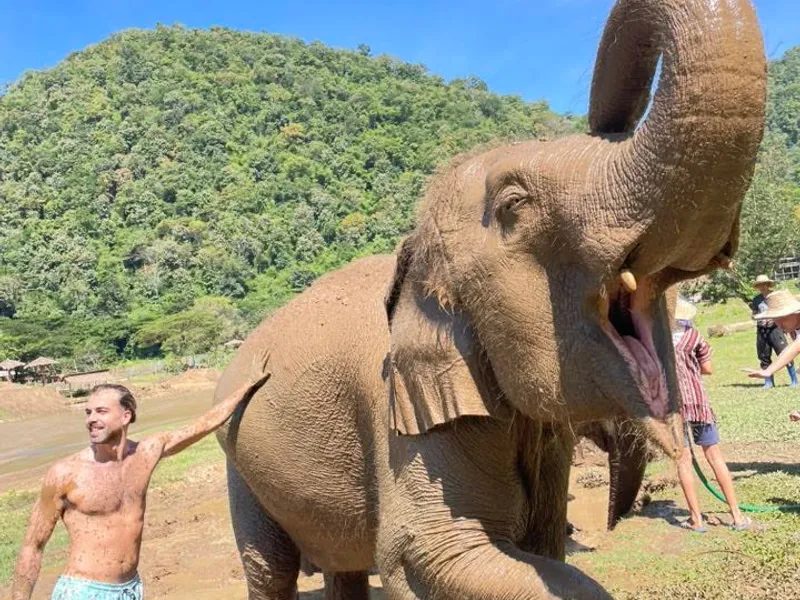 Mud Spa